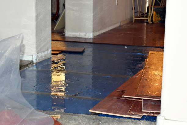 Professional Water Damage Restoration technician working in Harvest, AL